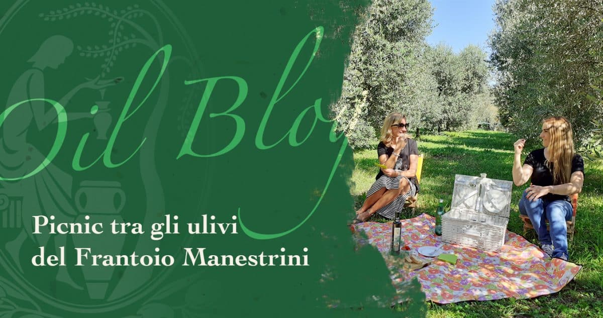 picnic tra gli ulivi del Lago di Garda