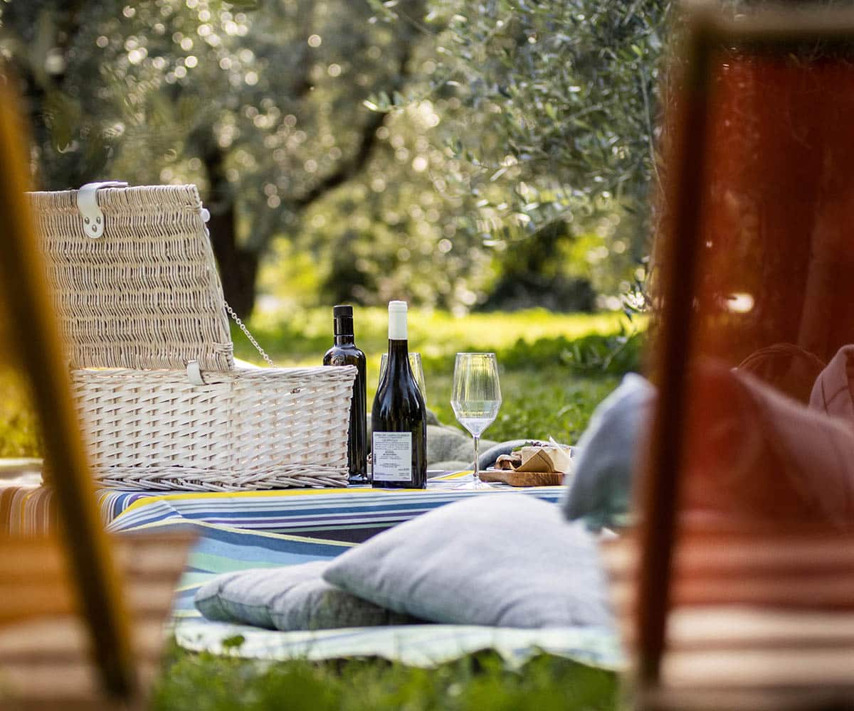 frantoio manestrini picnic 1 1 2