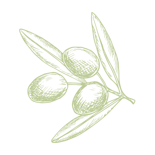 Progetto senza titolo 2025 02 11T172354.099