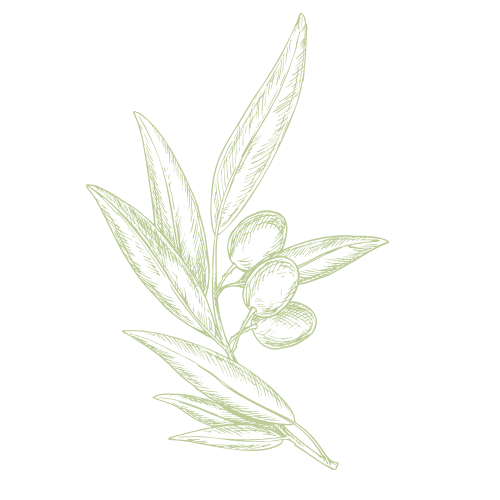 Progetto senza titolo 2025 02 11T174810.924