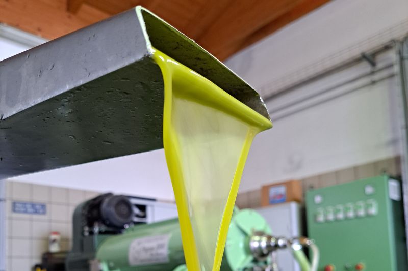 Macchinario per l'estrazione dell’olio extravergine di oliva in frantoio