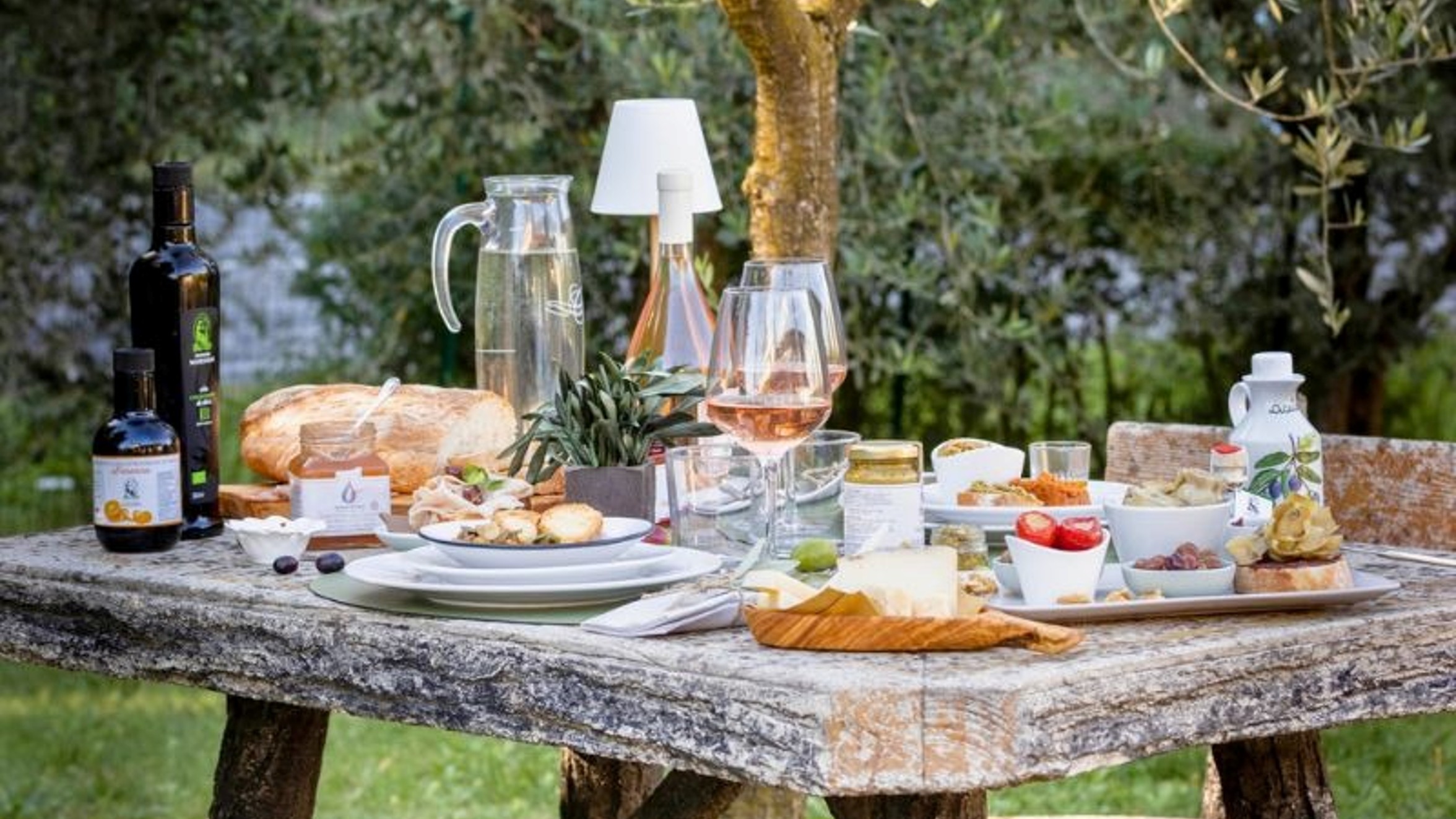 Tavola con prodotti del Frantoio Manestrini tra gli ulivi